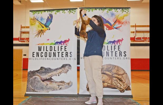 Wildlife Encounters Bring Various Animals To Calvert Families; Will be at Auburn Memorial Library April 13