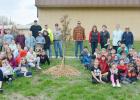 Arbor Day Observed With Tree Planting, Book Given to Auburn Memorial Library
