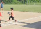 Take Me Out to the Ballpark with City Rec Coach Pitch Play